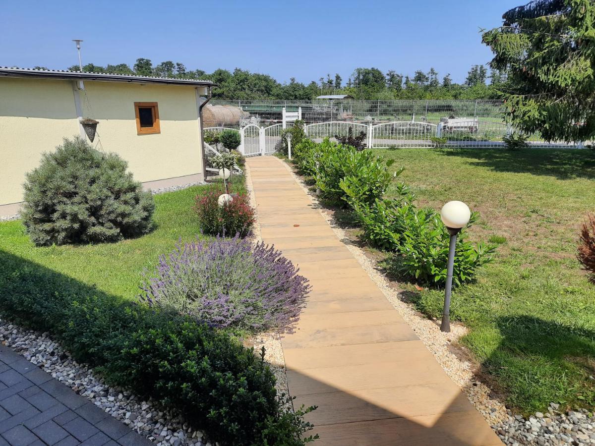 Ferienwohnung Am Schmollensee Pudagla Dış mekan fotoğraf
